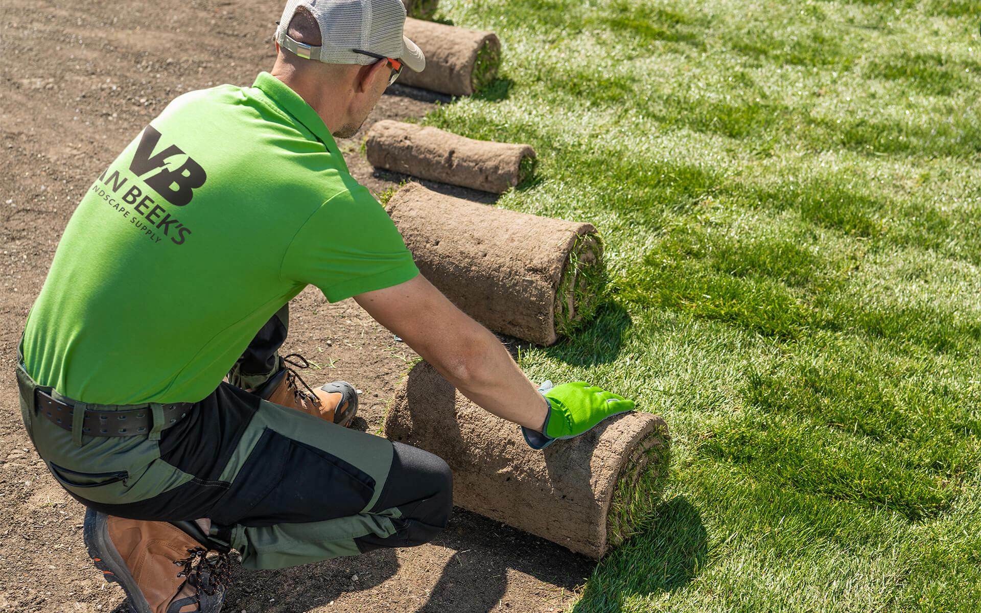 How to install sod grass in 6 easy steps