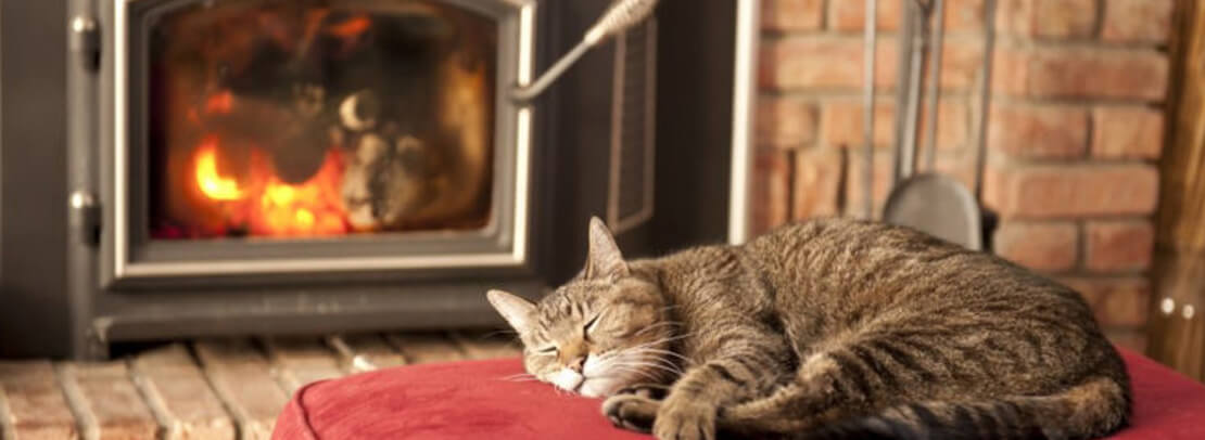 Cat laying on red pillow next to fireplace