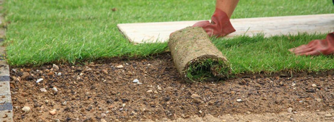 Laying down sod on yard