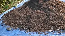 Burlington mushroom compost, gallery photo