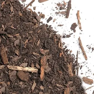 Burlington Mushroom Compost