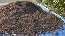 Mississauga mushroom compost, gallery photo