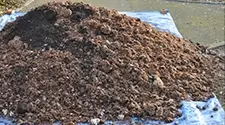 Oakville mushroom compost, gallery photo