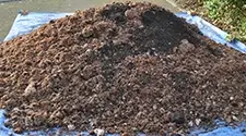 Toronto mushroom compost, gallery photo