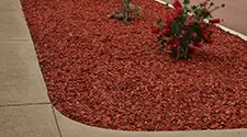 Burlington Red Mulch, gallery photo