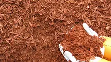 Burlington Red Mulch, gallery photo