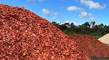 Burlington Red Mulch, gallery photo