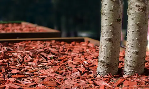 Burlington Red Mulch, youtube delivery