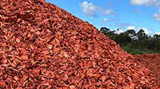 Milton Red Mulch, gallery photo