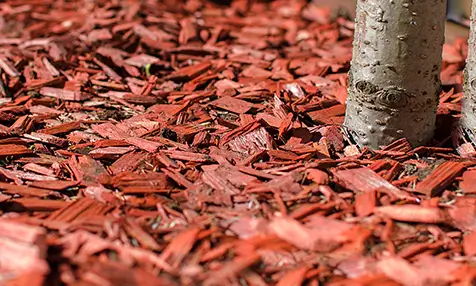 Milton Red Mulch, youtube delivery