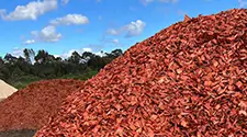 Mississauga Red Mulch, gallery photo