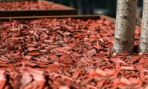 Mississauga Red Mulch, youtube delivery