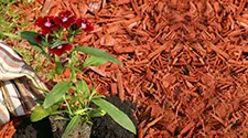 Toronto Red Mulch, gallery photo