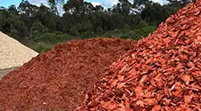 Toronto Red Mulch, gallery photo