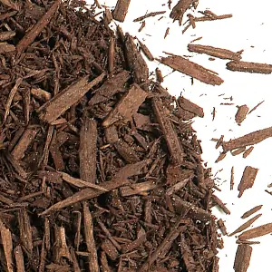 Toronto Brown Mulch