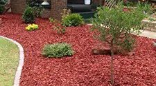 Burlington Red Mulch, gallery photo