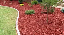 Oakville Red Mulch, gallery photo