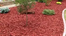 Toronto Red Mulch, gallery photo